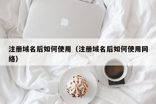 注册域名后如何使用（注册域名后如何使用网络）