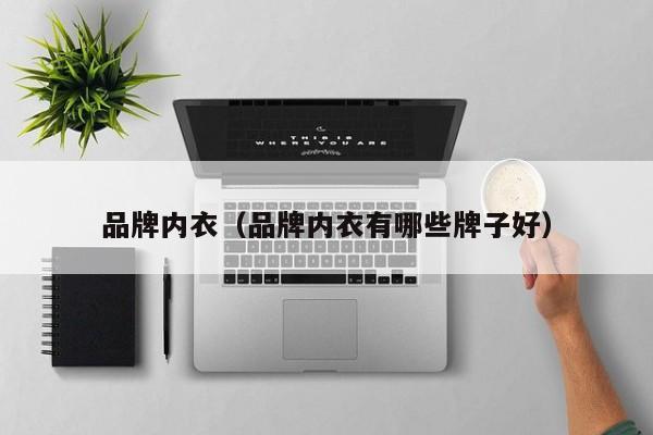 品牌内衣（品牌内衣有哪些牌子好）