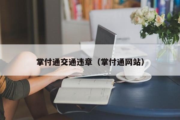掌付通交通违章（掌付通网站）