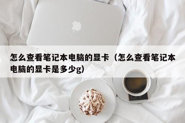怎么查看笔记本电脑的显卡（怎么查看笔记本电脑的显卡是多少g）